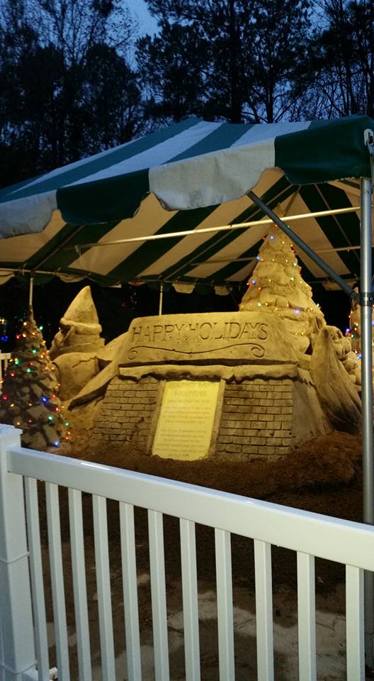 james island festival of lights Andrea Beam