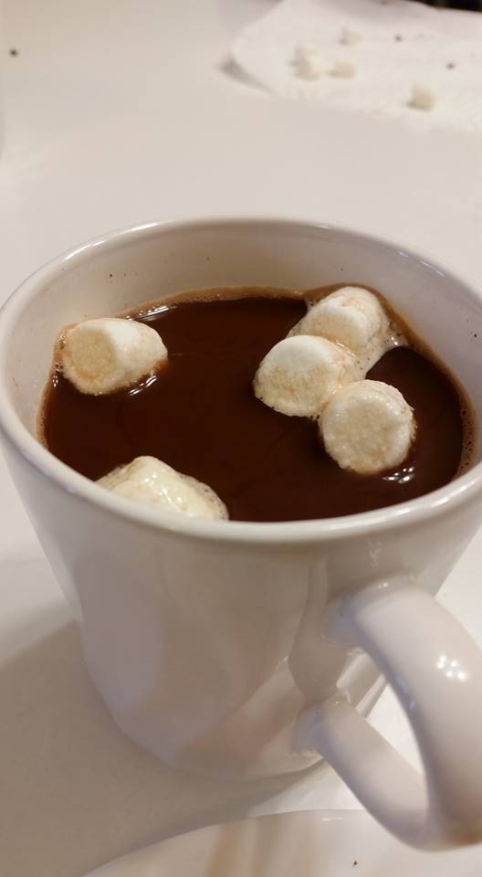 15672493_10211600661077449_5297946263119846863_n