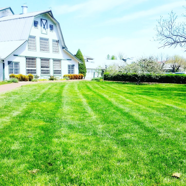 IMG_20170413_094013_623