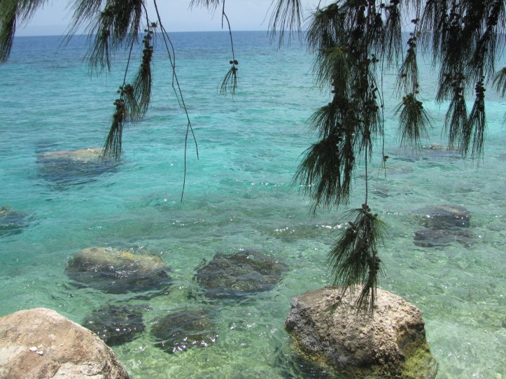 256411_252718328163914_400433489_o