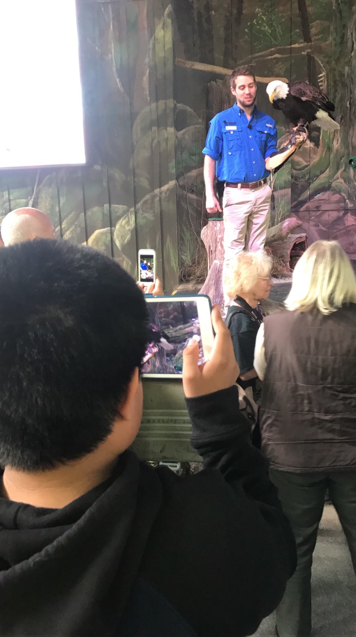 d9af939b-b80e-4291-90db-e465eee47811