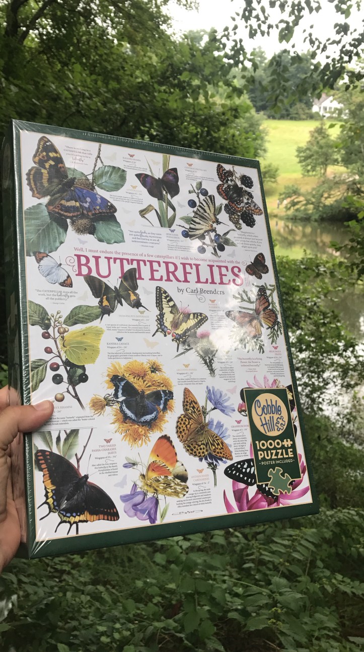 c3286835-fa3a-48e6-91f3-31895c41d93d